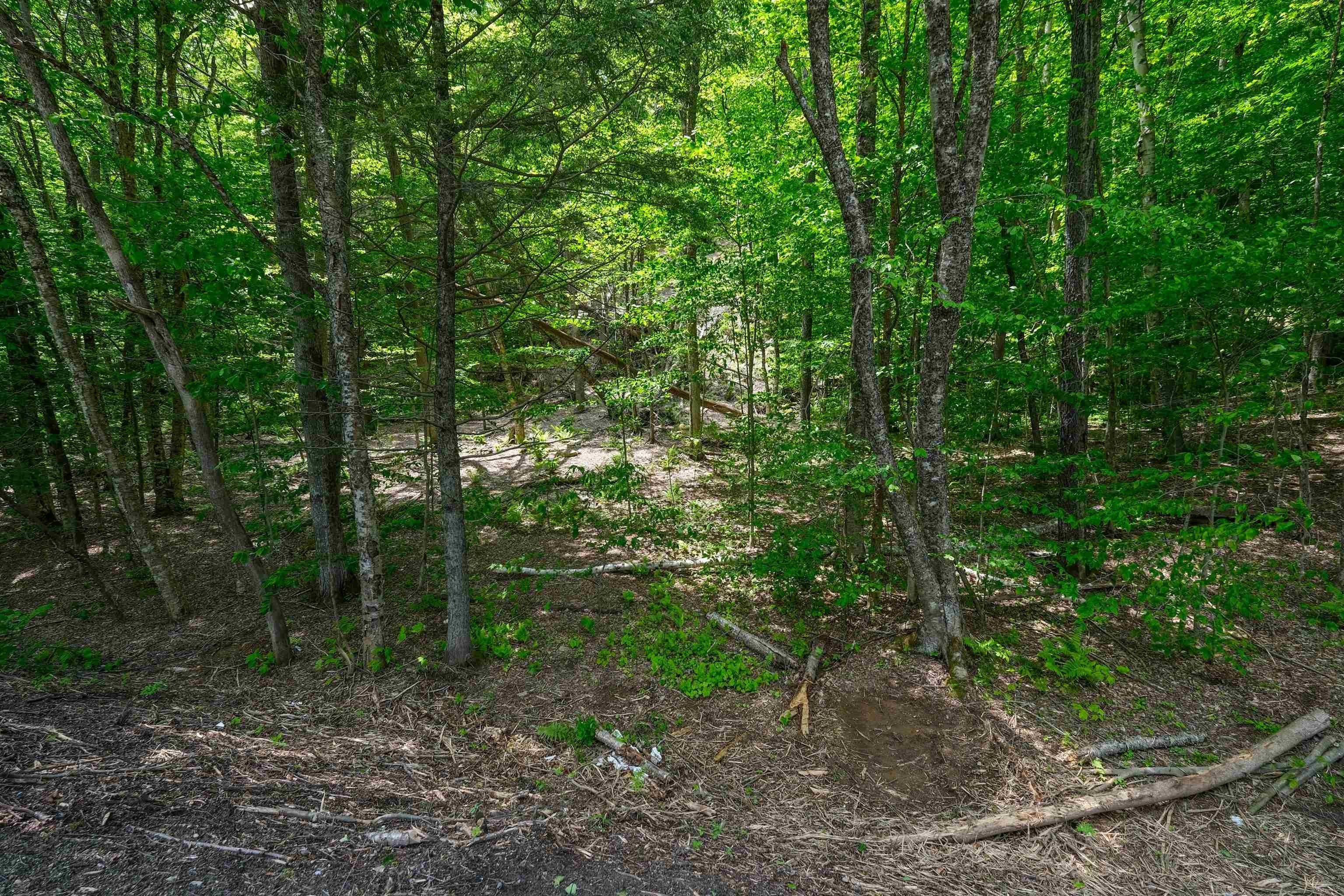 Plymouth Land Near Hawk Resort