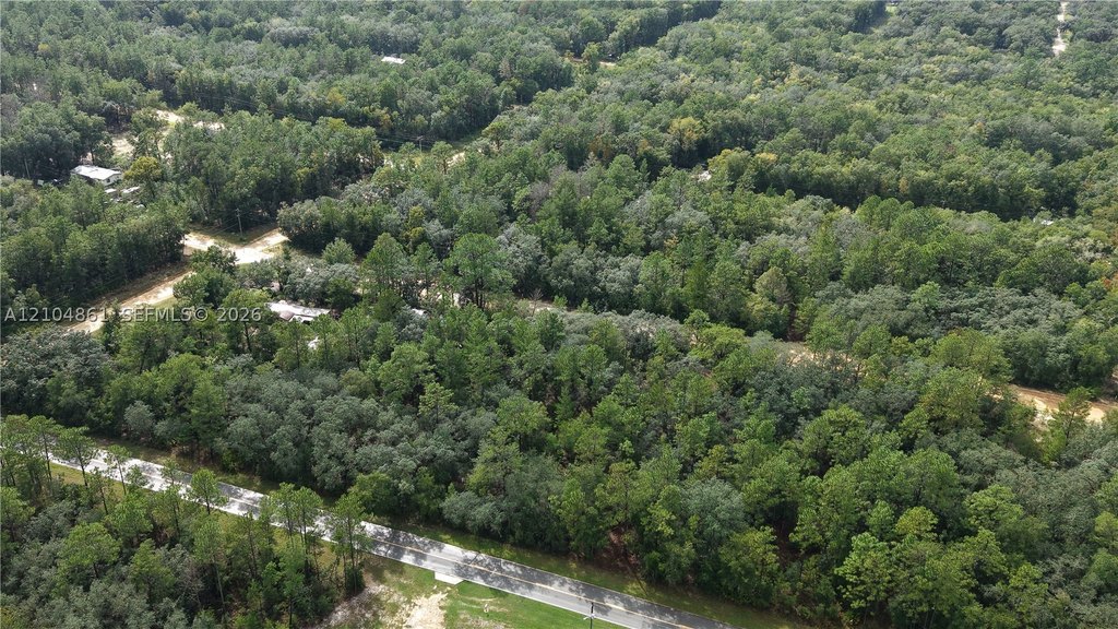 Picture 20