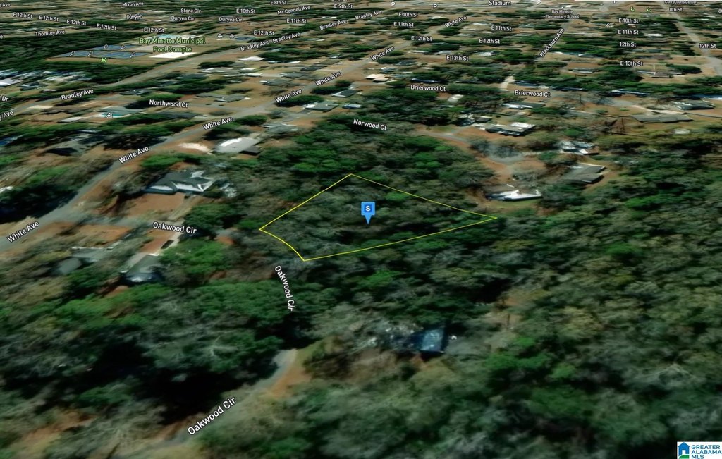 Picture 3