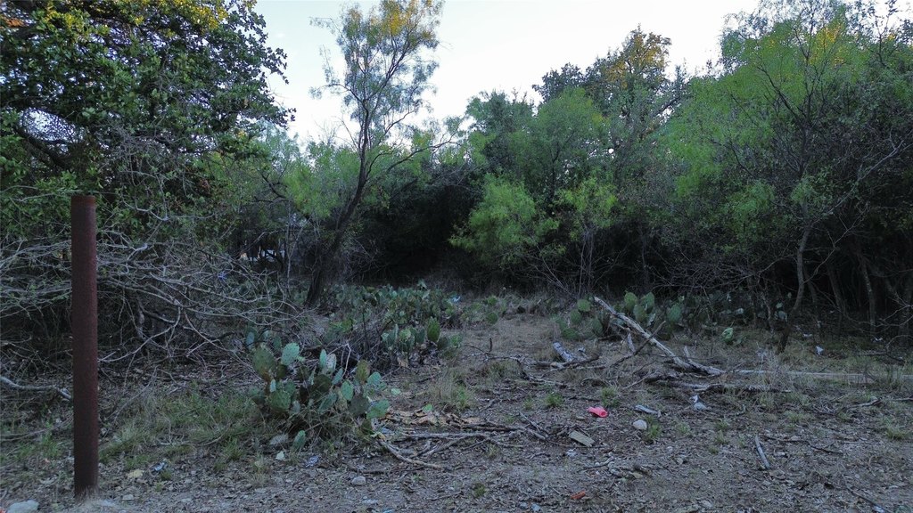 Picture 4