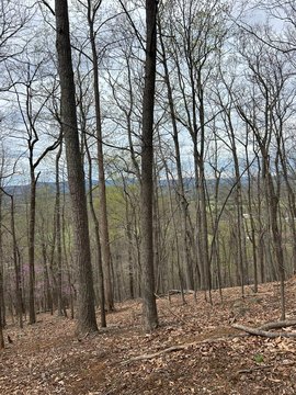 Amherst County 5-Acre Land Parcel
