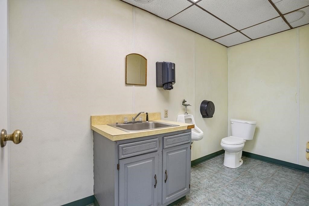 Picture 19