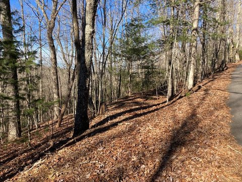 Residential Land in Murphy, NC