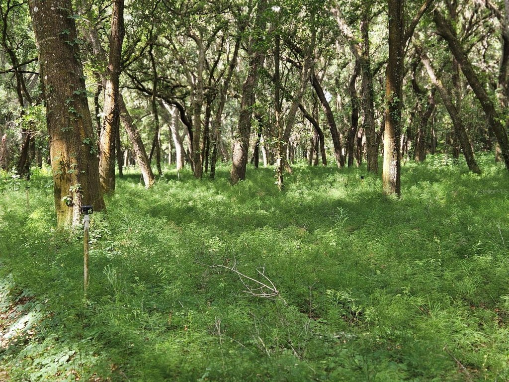 Picture 7