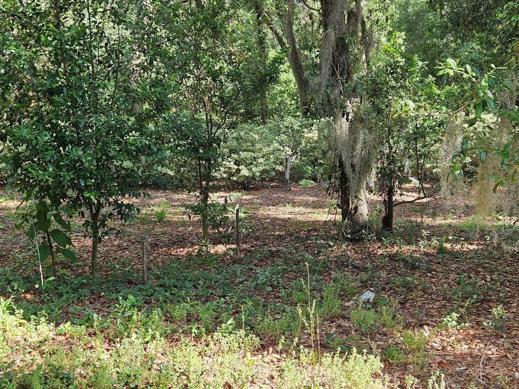 Picture 11
