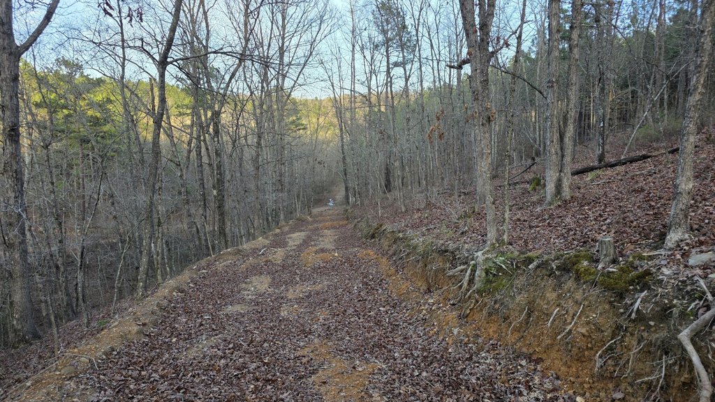 Picture 29