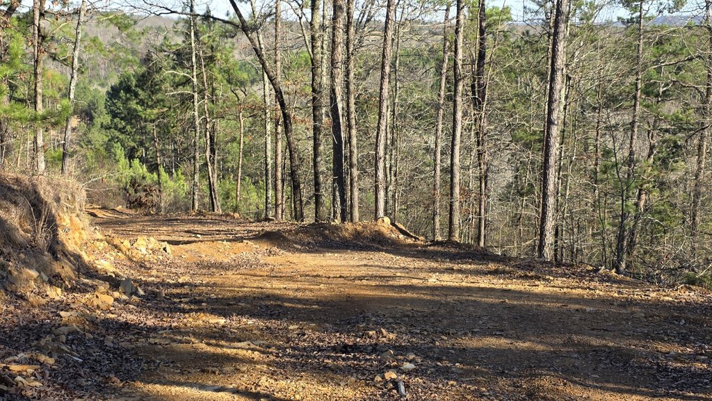 Picture 13