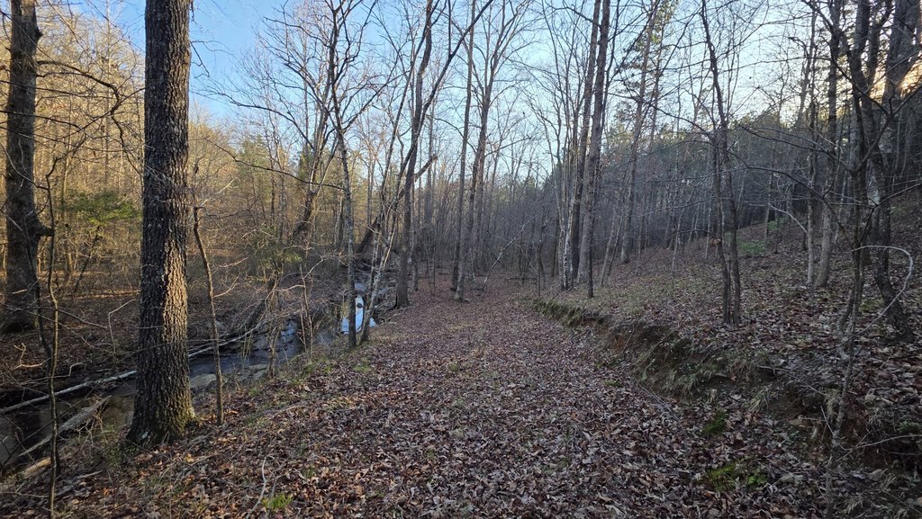 Picture 11