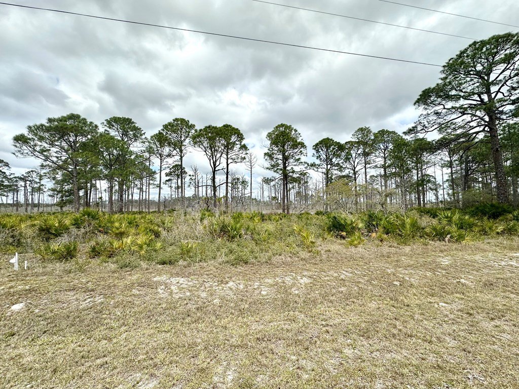 Picture 5