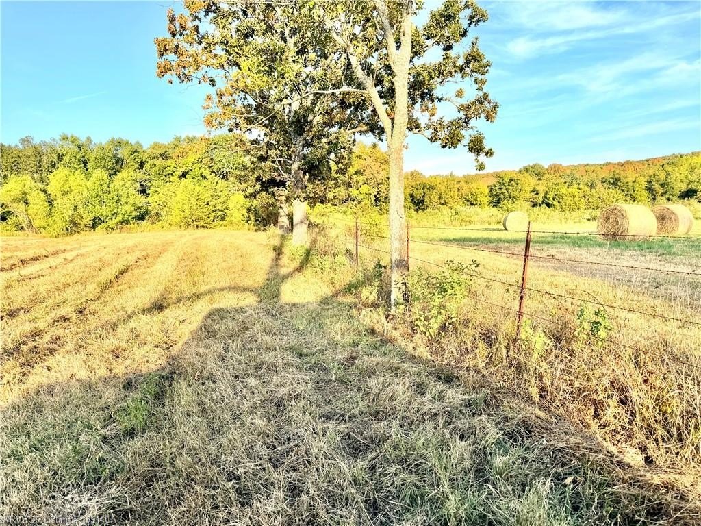 Picture 14
