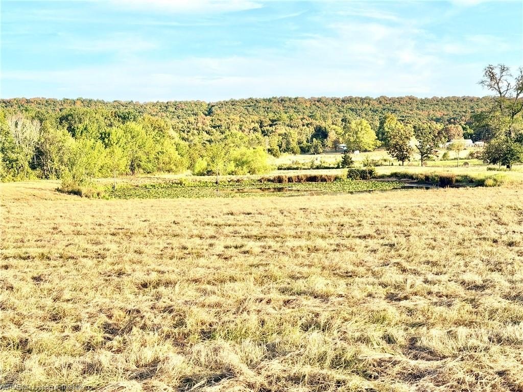 Picture 7