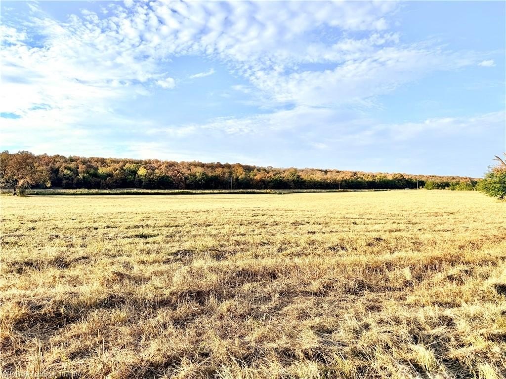 Picture 15