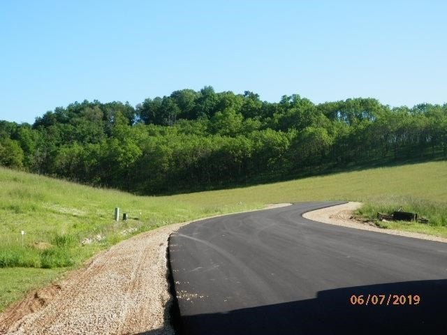 Picture 4
