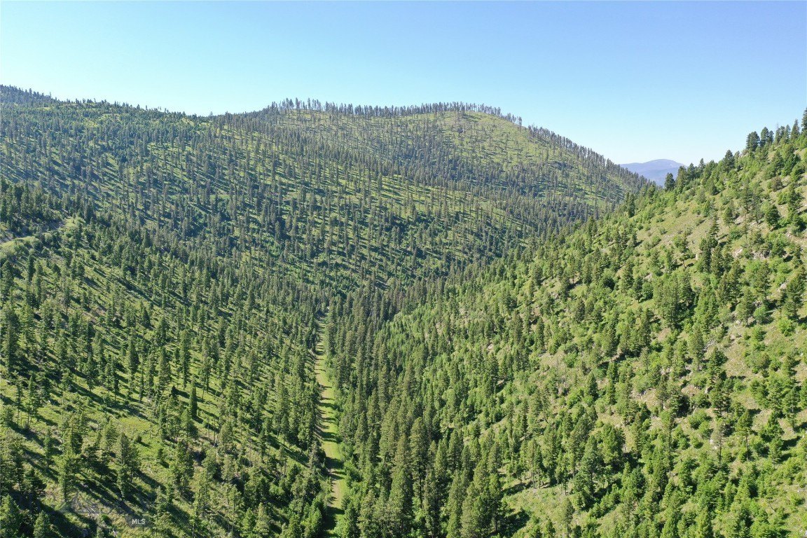 Montana Land in Garnet Range