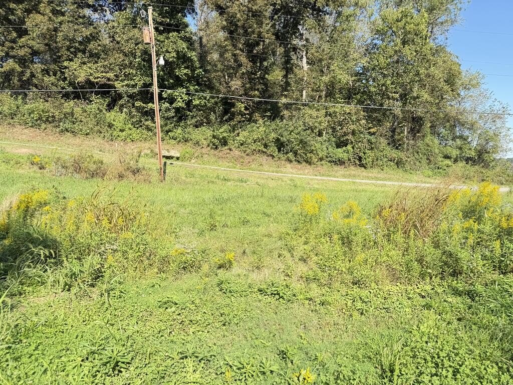 Picture 18