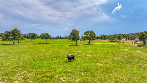 Land, Poolville, TX