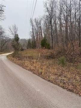 Wooded Land with Road Frontage