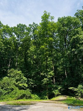 LAND - Gadsden, AL