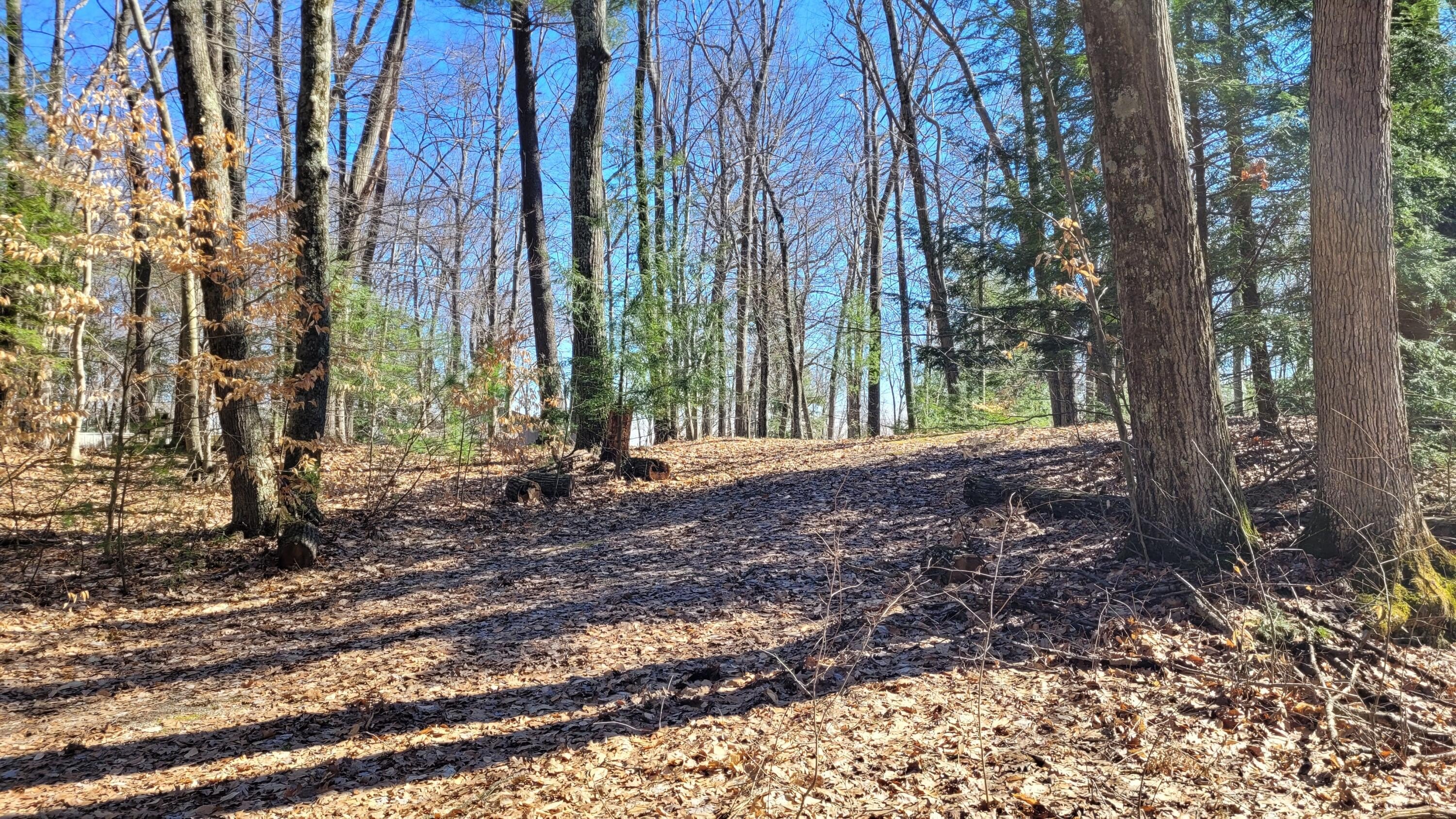 Land Near Diamond Lake