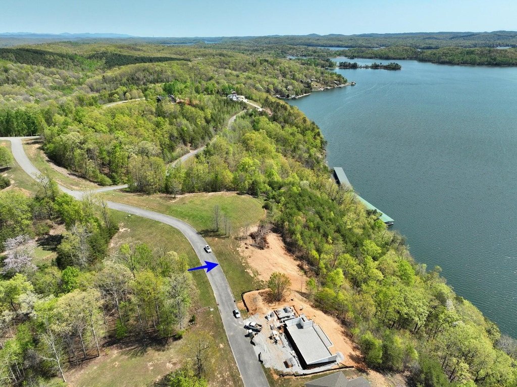 Picture 17