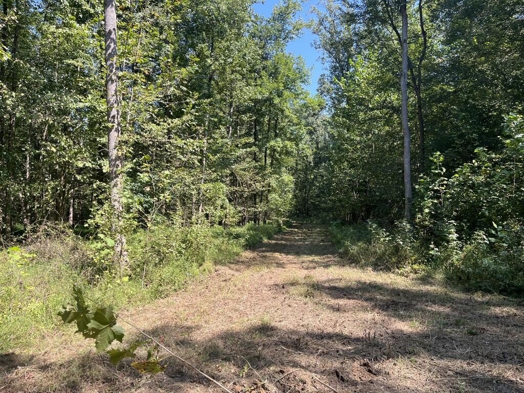 Picture 23