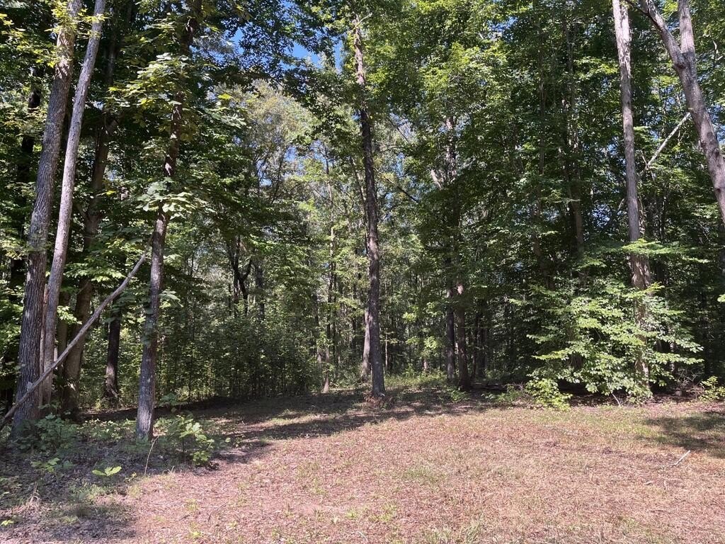 Picture 21