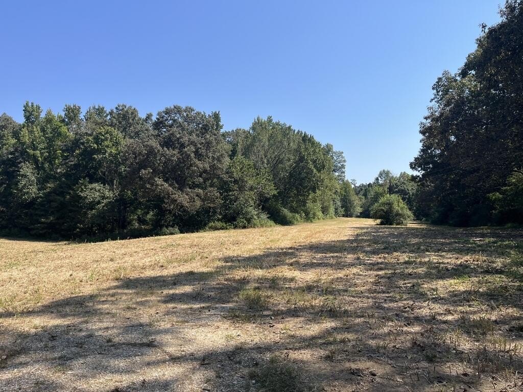 Picture 19