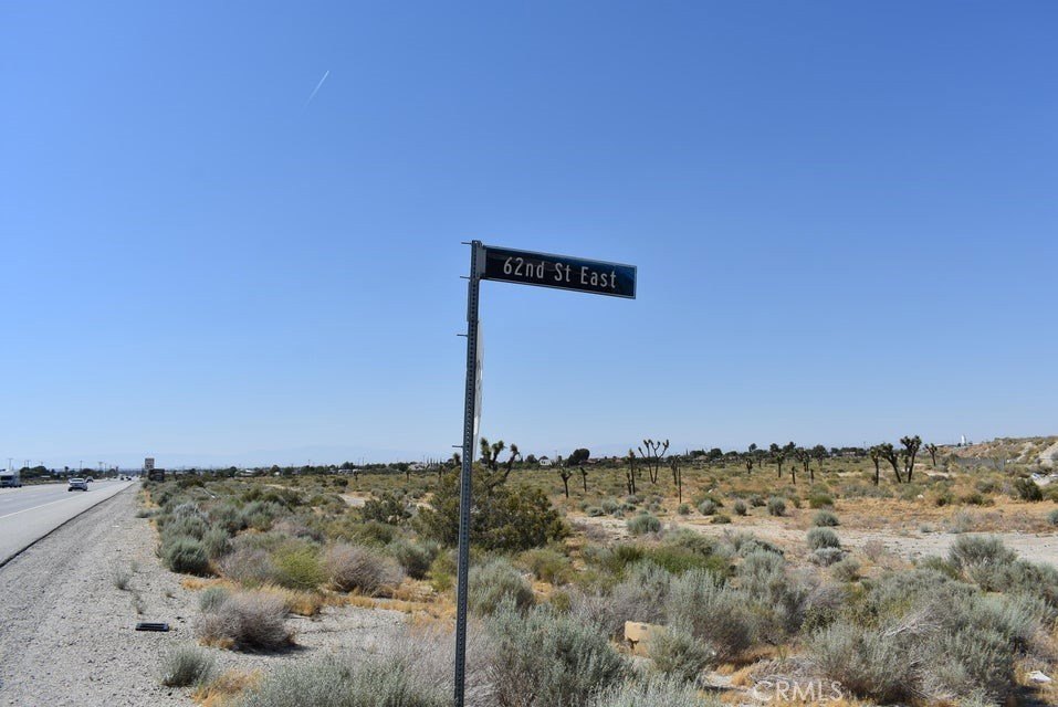 Picture 8