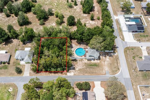 LAND - SUMMERFIELD, FL