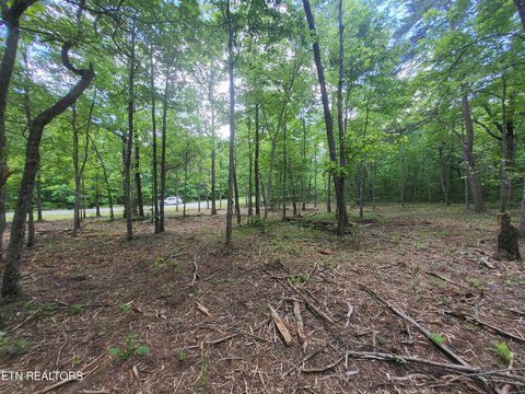 Residential Land in Monterey, TN