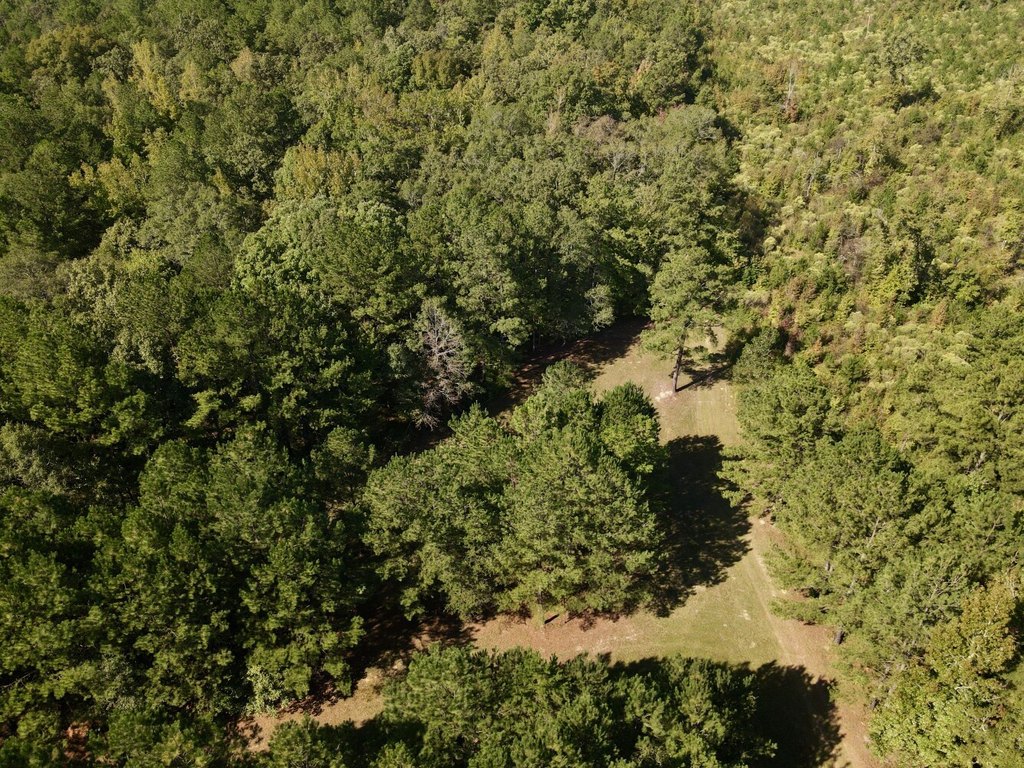 Picture 25