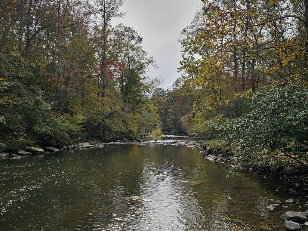 Picture 23