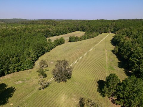 Recreation Land with Timber