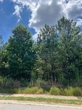Residential Land in Flowery Branch
