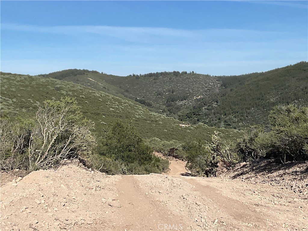 Picture 25