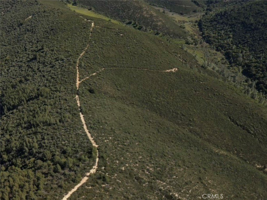 Picture 41