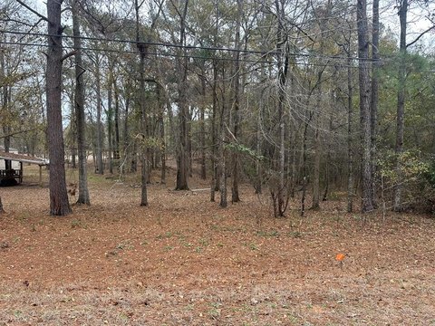 Vacant Lot Near Amenities