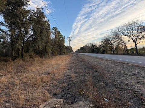 Cross City Land Parcel