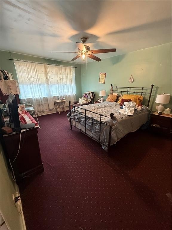 Picture 14