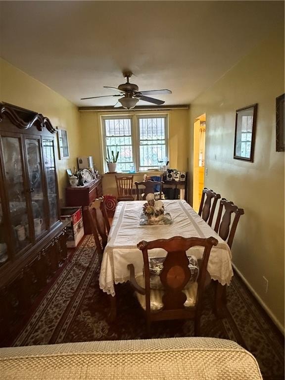 Picture 5