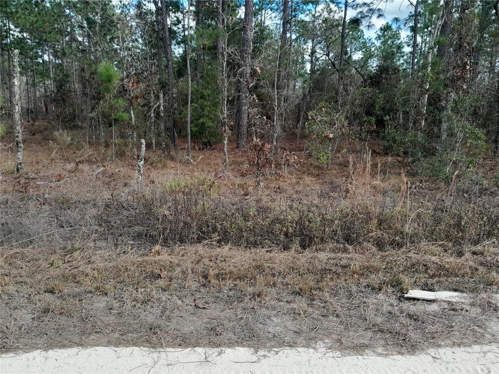 Picture 4