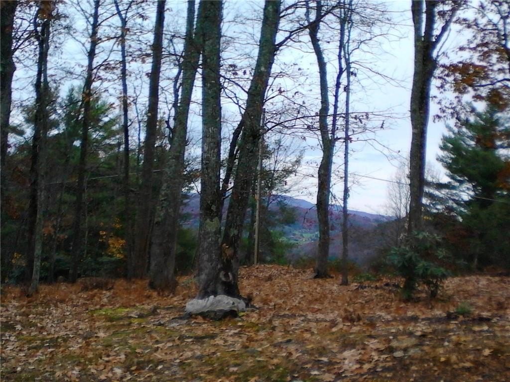 Picture 8