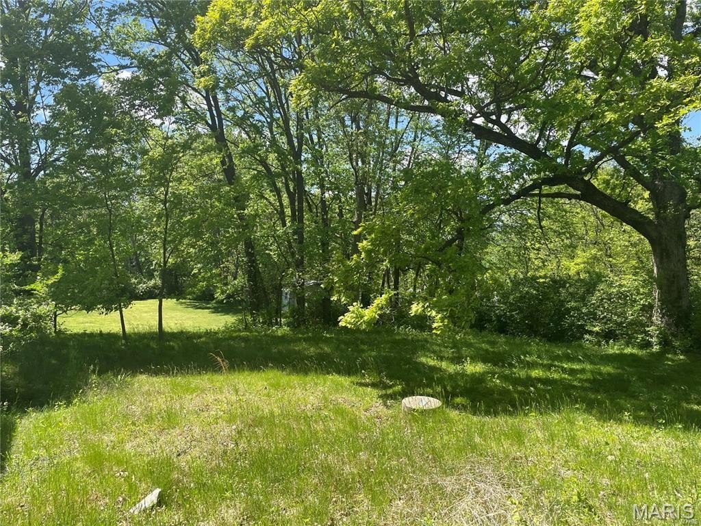 Residential Lot in Kirkwood