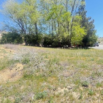 Residential Land in Lake Elizabeth