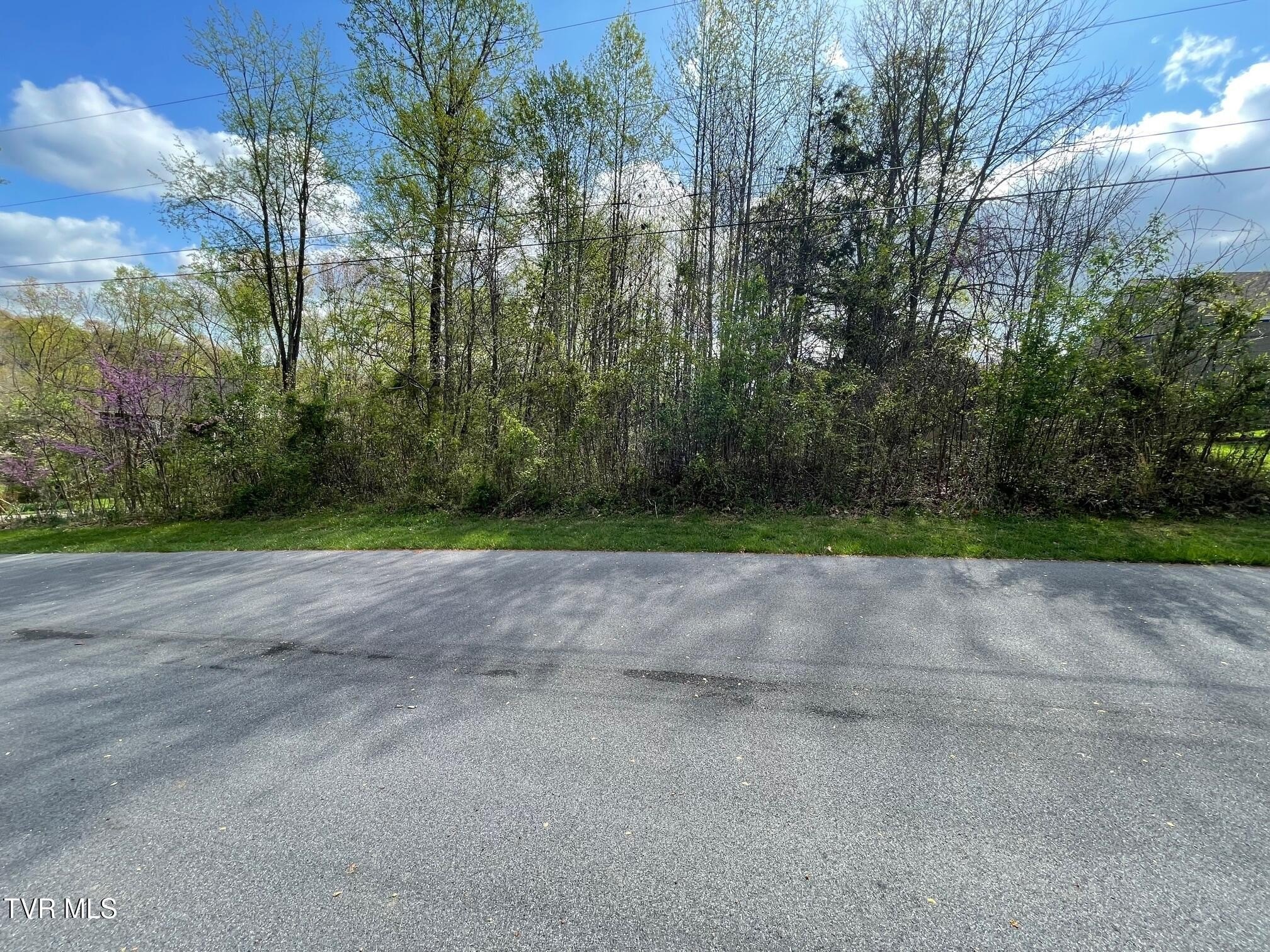 Residential Lot in Established Neighborhood