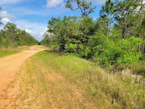 Residential Land in Milton, FL