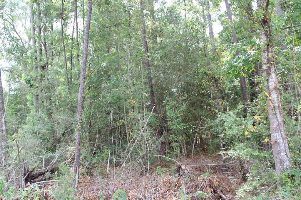 Picture 3