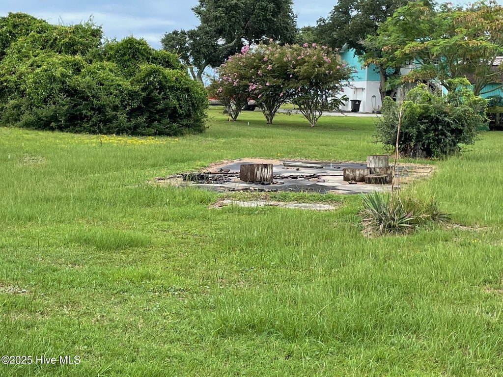 Picture 19