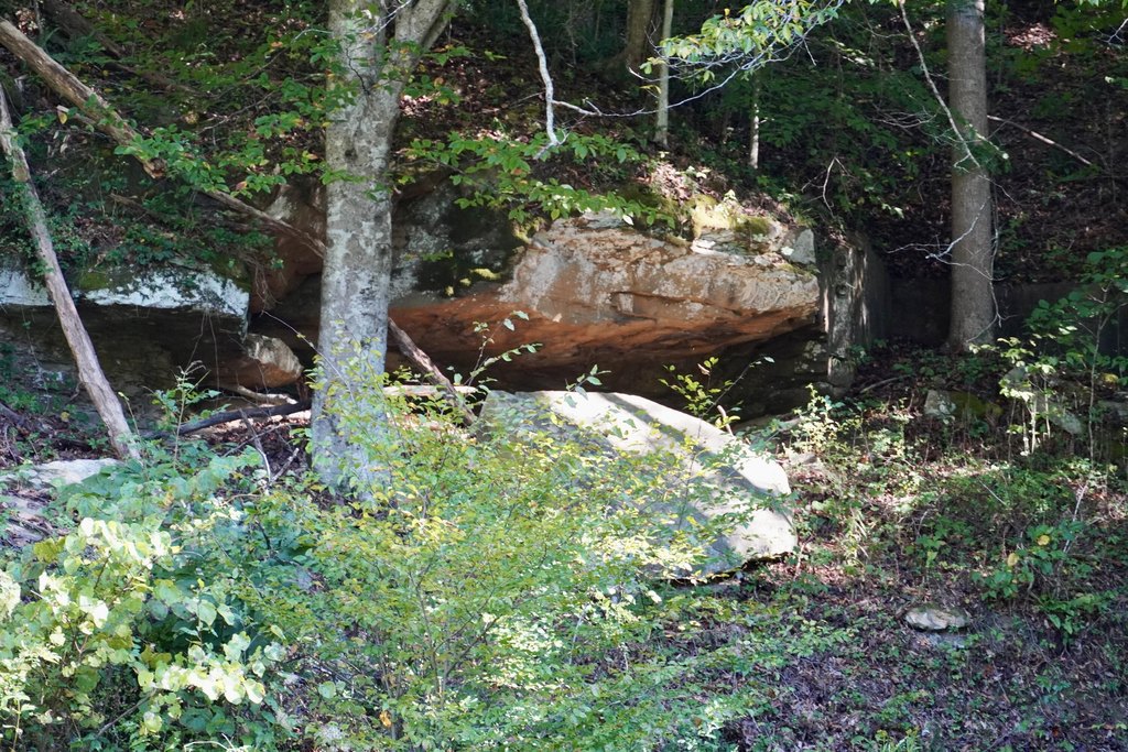 Picture 5