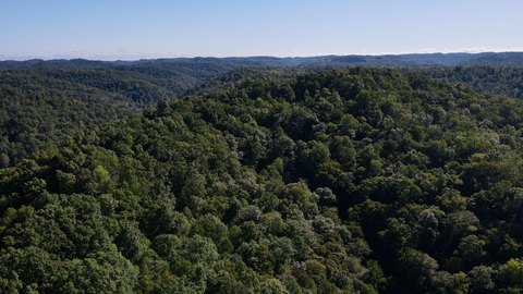 Land, Salyersville, KY